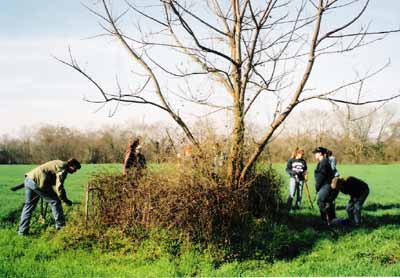 Samuel Boykin Family Burial Ground photo