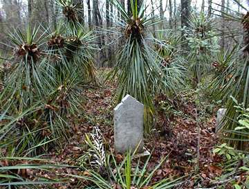 Hugh Butler Family Cemetery photo