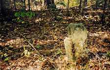 Harvey Family Burial Ground photo