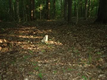 Howe cemetery off Meriwether Rd photo