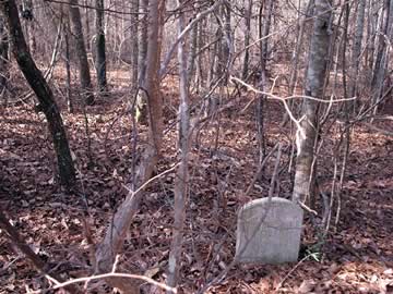 Lattimore Family Burial Ground #2 photo