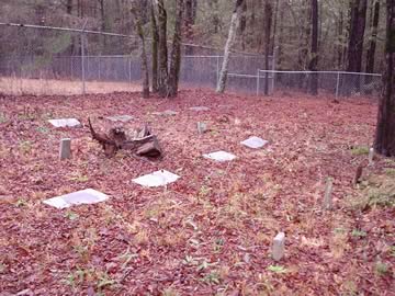 Lee Family Cemetery photo