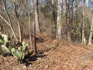 Renfroe Family Cemetery photo