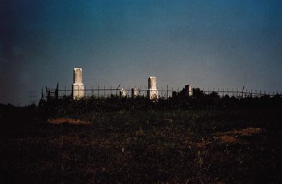 William Felton Rice Cemetery photo