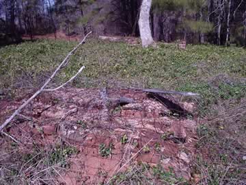 Old Roberson Place Cemetery on Black Springs Road photo