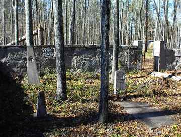 Rose - Little Cemetery photo