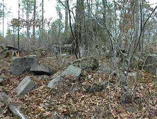 Rowell Family Cemetery photo