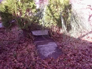 Rutherford Family Cemetery photo