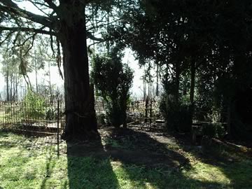 Turk - Watson Family Burial Ground photo