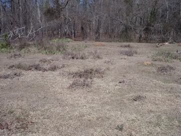 Unknown Cemetery #4 on Gumm Cemetery Road photo