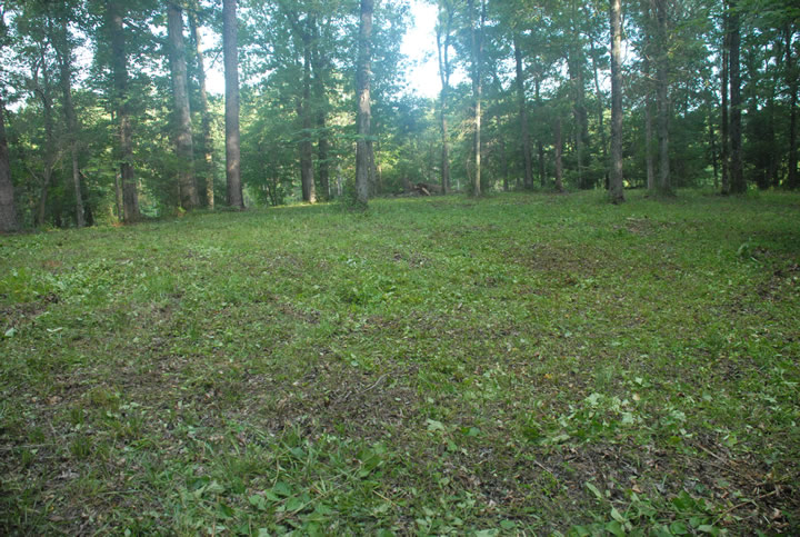 Unknown Cemetery #9 on Hwy 22 near Brown