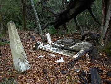 Wimberly Family Cemetery photo