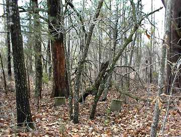 Cullen Wood Family Cemetery photo