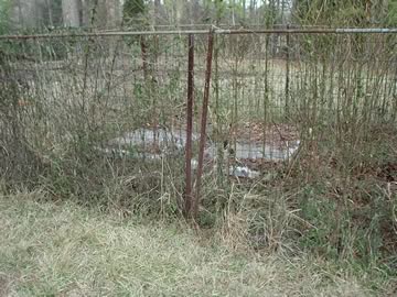 Joseph Youngblood Cemetery photo