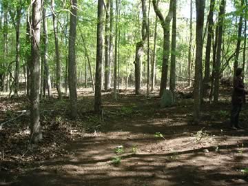 Old duBignon Plantation Cemetery photo