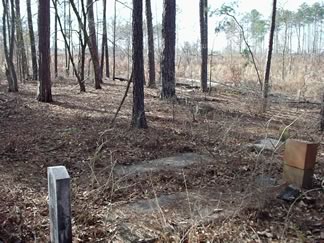 Bailey Family Cemetery photo