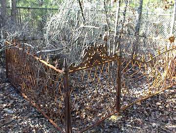 Baugh Family Cemetery photo