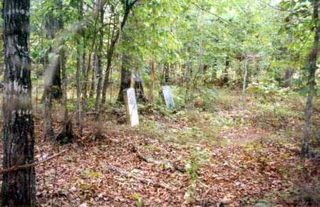 Choice Family Cemetery photo