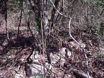 Dickinson Family Cemetery (possible cemetery) photo