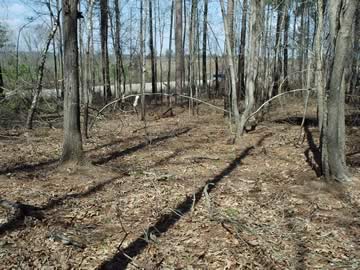 Ebenezer Cemetery on Carr