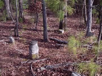 Giant Cemetery off Stembridge Rd photo