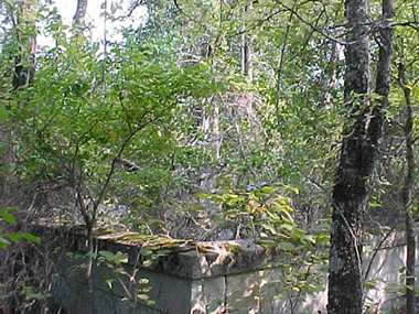 Hilsman-Lary Family Cemetery photo