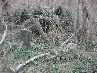 Johnston Family Cemetery photo