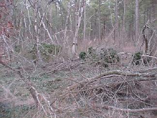 Johnston Family Cemetery photo