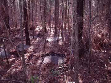 Kilgore Family Cemetery photo