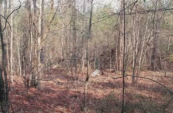 Mt. Moriah Church Cemetery photo