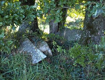 Mt. Zion Methodist Church Cemetery photo