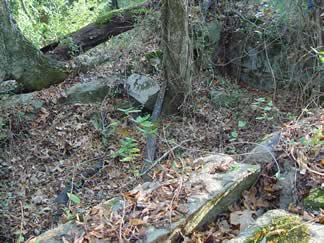 Ross Place Cemetery photo