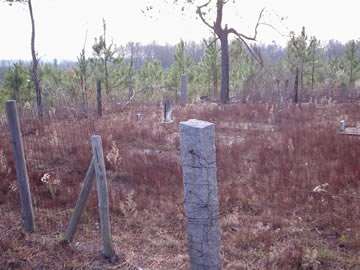 Smith Family Cemetery photo