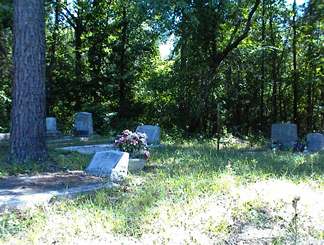 Springfield Cemetery #1 photo
