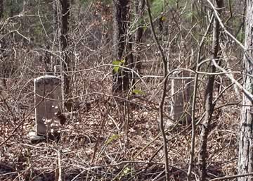 Swint Family Cemetery photo