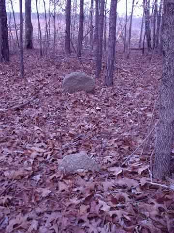 Unnamed Cemetery #4 on Milton Reid Rd. photo