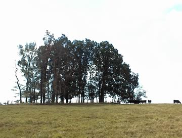 Unnamed Cemetery #11 on northern Centennial Road photo