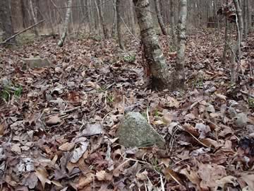 Unnamed Cemetery #12 on northern Centennial Road photo