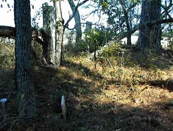 Unnamed Cemetery #15 on Watts Road photo