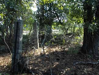 Unnamed Cemetery #15 on Watts Road photo