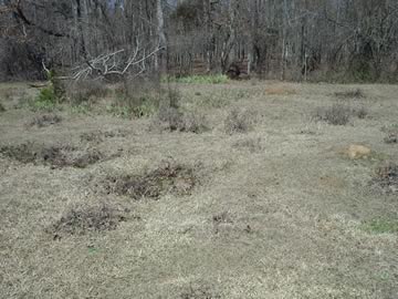 Unnamed Cemetery #22 off Gumm Cemetery Rd. photo