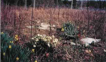 Veazey Family Cemetery photo