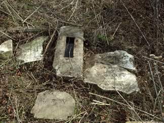 Veazey Family Cemetery photo