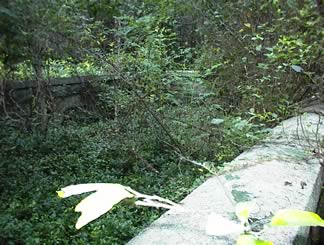 White Family Cemetery photo